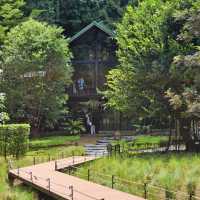 Into the Forest, กระบี่ คาเฟ่