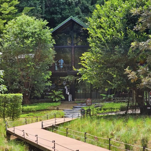 Into the Forest, กระบี่ คาเฟ่
