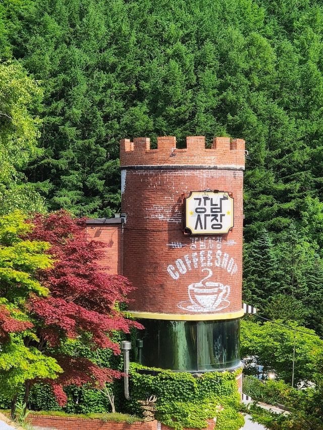 태백산아래 쉼표가 되어줄☕️강남사장