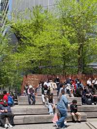 Elevated Escapes: Discovering the Art and Nature of NYC's High Line!