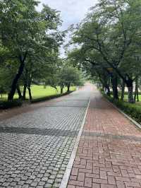 공원 산책길