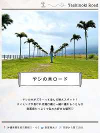 ＼フライト前の寄道スポット11選✈️🌺／