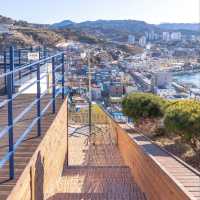 Donghae’s Hidden Gems: A Seaside & Street Art Adventure"** 🌊🎨