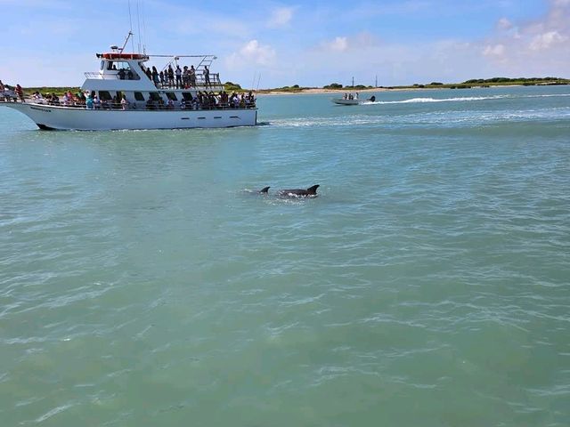 South Padre Island Dolphin Watch