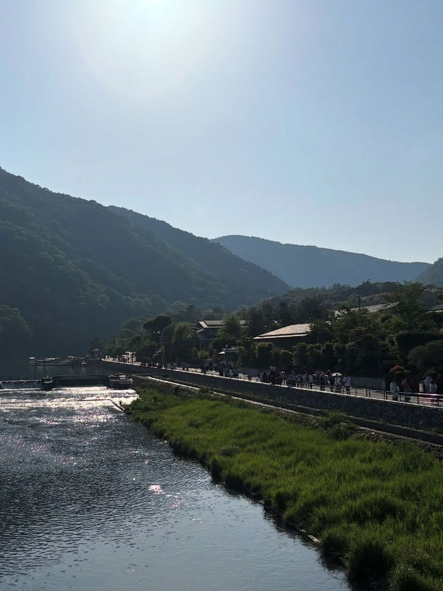【嵐山・渡月橋】四季を感じる絶景と癒しの時間🌸🍁⛰️