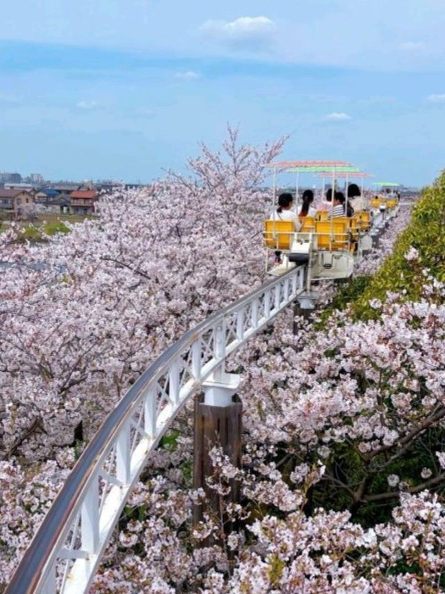 日本名古屋🇯🇵🏯空中單車嘅夢幻之旅✨🚲