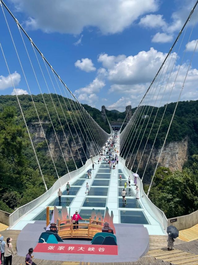 Dare to Look Down: The World’s Most Daring Bridge