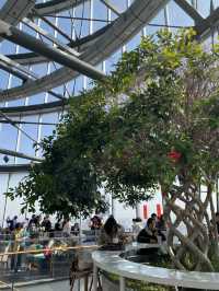Shanghai Duoyun Bookstore - above the clouds!
