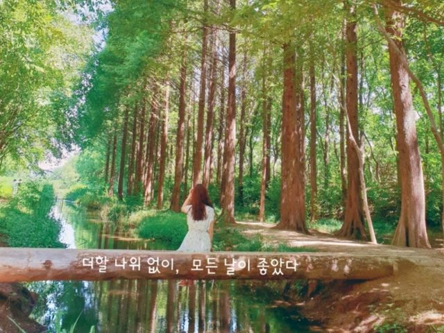 여름 여행을 경주로 가야하는 이유, 꽃과 함께