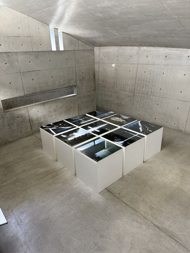 【香川】ANDO MUSEUM