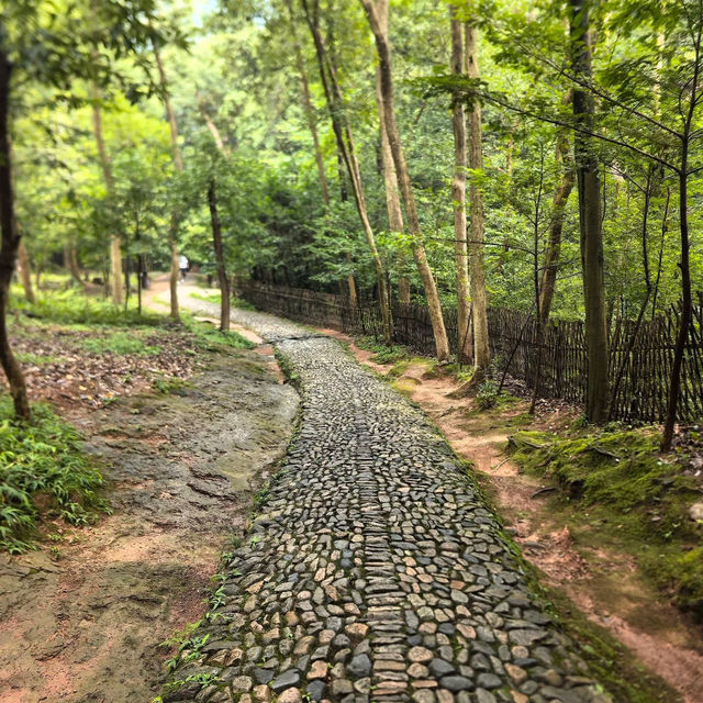 興隆山景區🌄山景天堂 