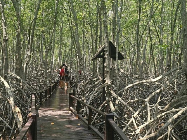 ✨"วันนี้มาชาร์จใจที่... วนอุทยานปราณบุรี 🌳