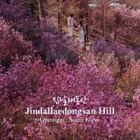 Jindallaedongsan Hill