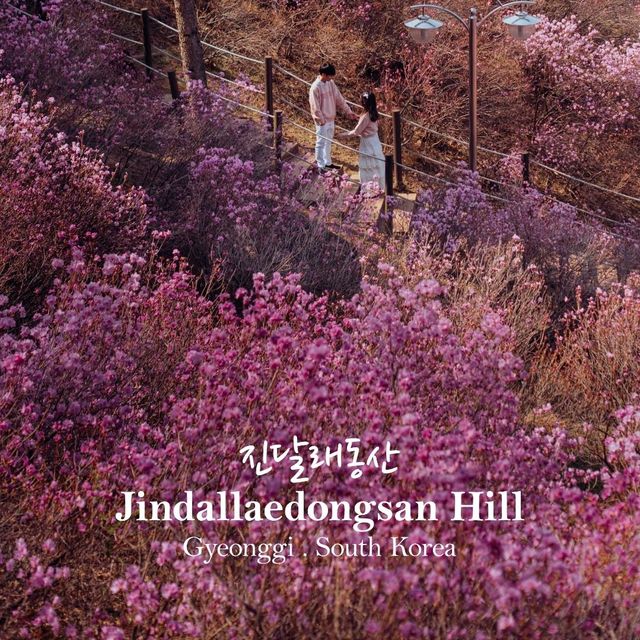 Jindallaedongsan Hill
