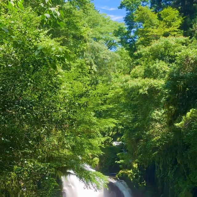 【菊池渓谷】清流と緑に包まれる、熊本の癒しの森🌲💧