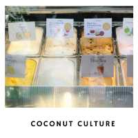 🥥 Coconut Culture พระอาทิตย์ – ไอศกรีมมะพร้าวสด