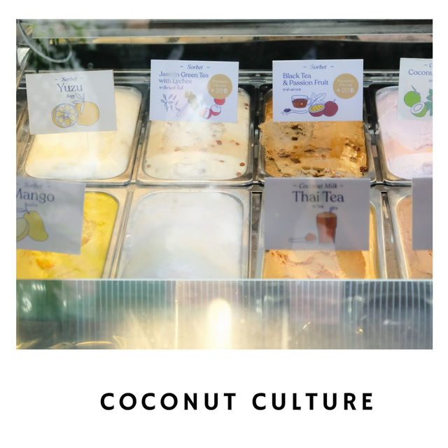 🥥 Coconut Culture พระอาทิตย์ – ไอศกรีมมะพร้าวสด