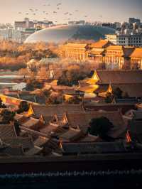 Temple Of Heaven: Where Blue Titles Filter Starlight And Cypresses Swallow Imperial Echoes