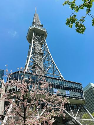 🚅 Nagoya Day Trip Under RM100 – Castles, Culture & Chicken Wings!