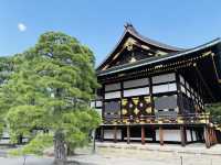 【京都】京都御所で味わう厳かな時間🌿