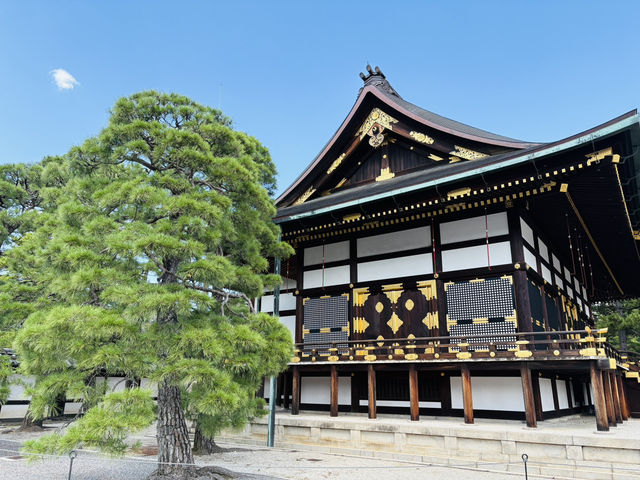 【京都】京都御所で味わう厳かな時間🌿