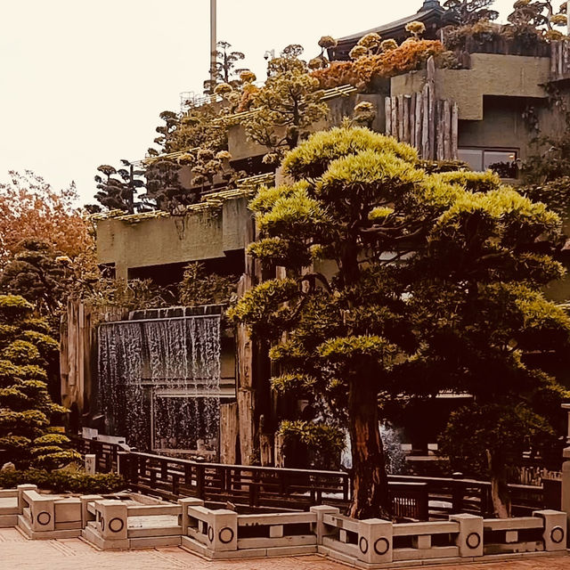 🌿✨ Escape to Tranquility: Discover Nan Lian Garden – Hong Kong’s Hidden Oasis! ✨🌿