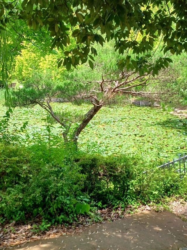 숲길 위의 산책, 진주 수목원