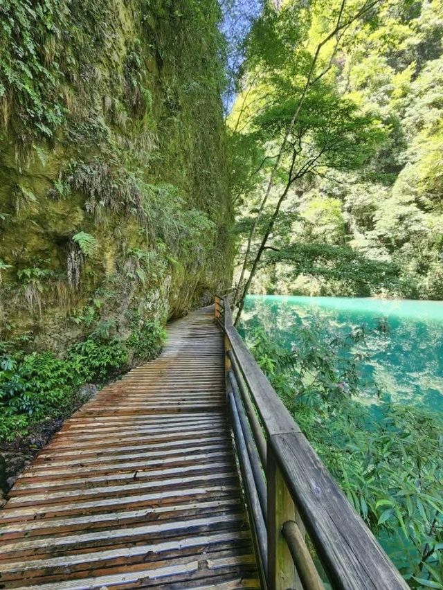 “Zhangjiajie Grand Canyon: Crystal Bridge over a Green Paradise”