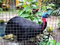 泗水動物園
