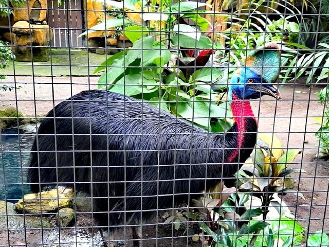 泗水動物園