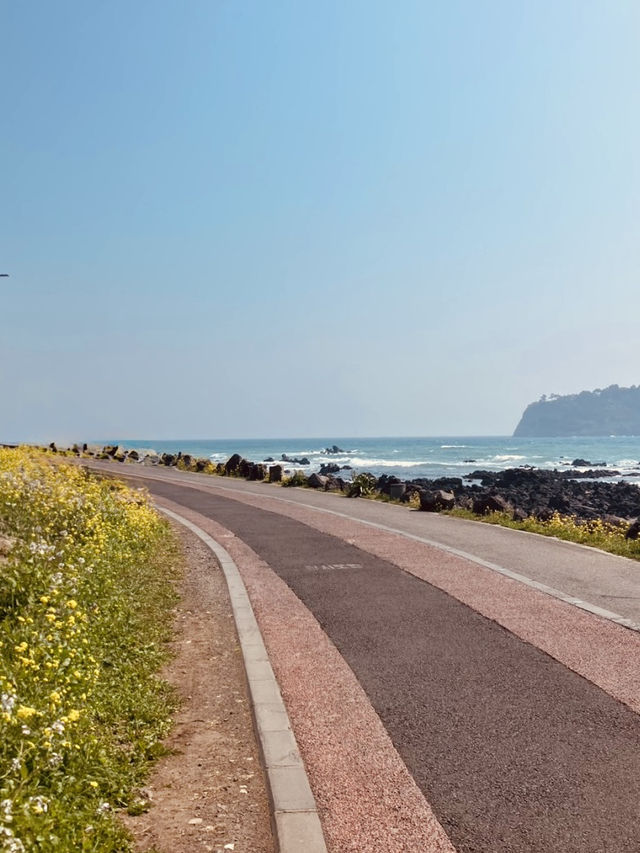 Walking the Sea: Jeju’s “Moses Miracle”