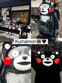 Kumamoto on a rainy day ☔️