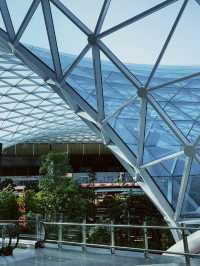 Layover at Hamad International Airport, Doha Qatar