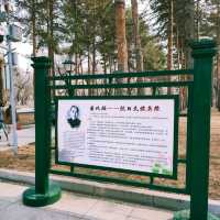 Visit Harbin Zhaolin Park (兆麟公园) and War Memorial