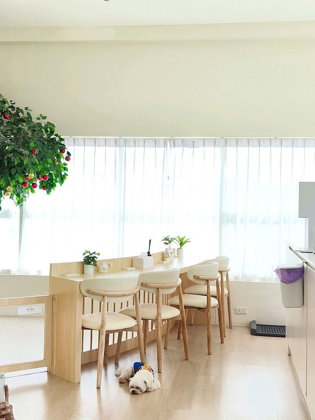 Tagnimal Cafe