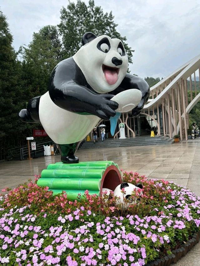 Panda Valley Dujiangyan Panda Valley Dujiangyan
