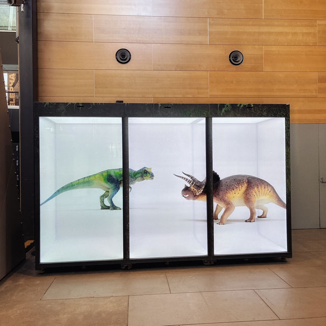 メルボルン博物館🦕