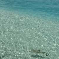 Saii Lagoon Maldives – Vibrant Island Living in the Emboodhoo Lagoon