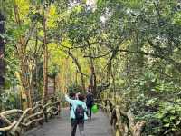 🌿 Yanoda — Hainan’s Tropical Rainforest Wonderland