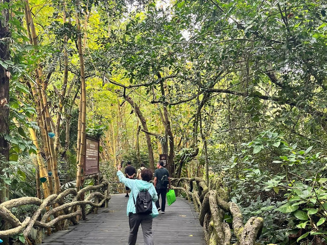 🌿 Yanoda — Hainan’s Tropical Rainforest Wonderland