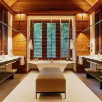 Sacred Stillness in the Rainforest