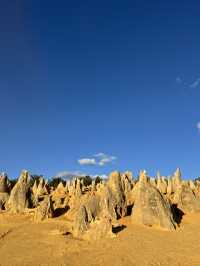 Pinnacles Desert- Out of this world view