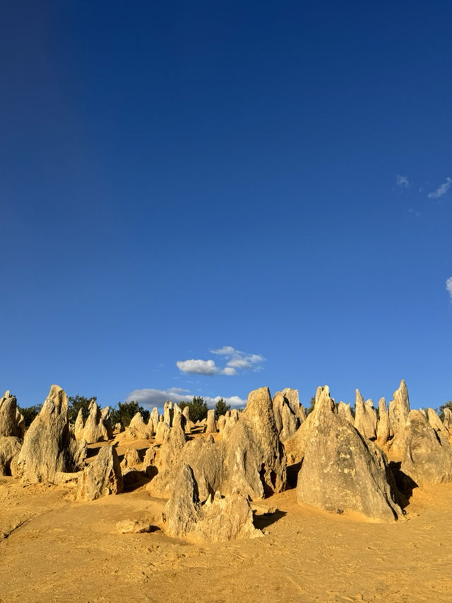 Pinnacles Desert- Out of this world view