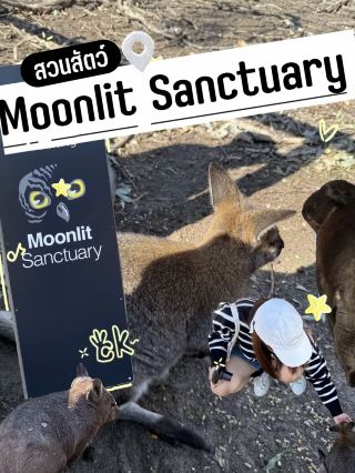 귀여운 동물원이 있는 곳이에요. 안 오면 정말 후회할 거예요!! 🐨🦘🐕🦤🦦🐾.