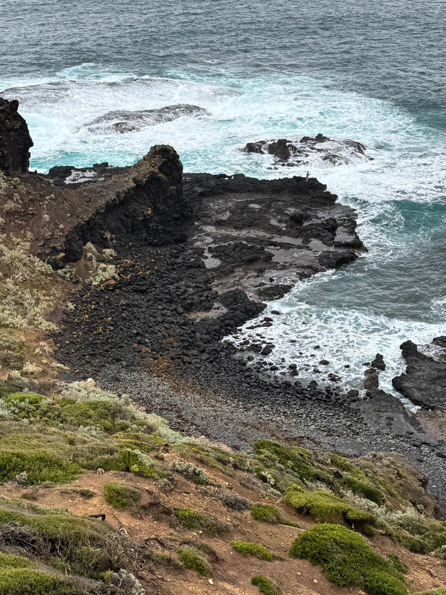 【莫寧頓半島｜海岸與葡萄酒交織的靜謐之旅】