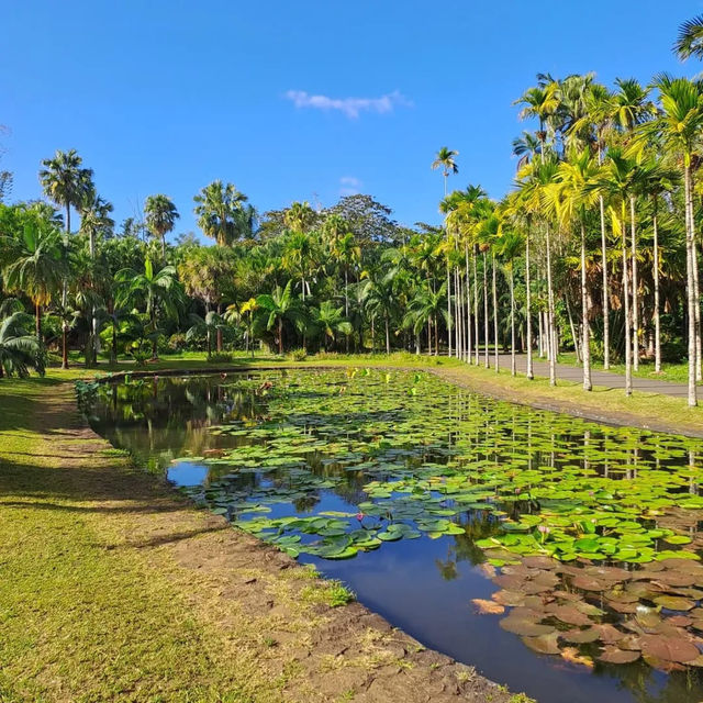 A Tropical Paradise Experience in Mauritius