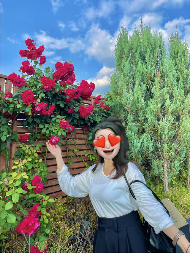 🌆 대구 도심 속 작은 테마파크, 스파크랜드