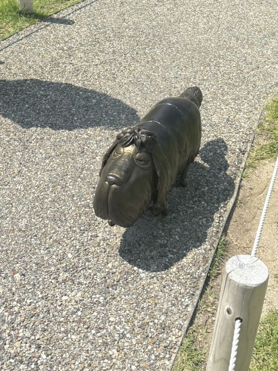【ジブリパーク】魔女の谷＆もののけの里｜屋外アトラクション完全ガイド🍃 