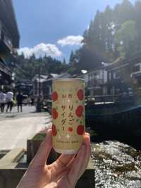山形　大正ロマン漂う銀山温泉♨️昼も夜も楽しめる！