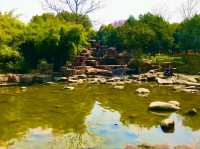 Xiuhu Park: The Heart of Yiwu’s City Life